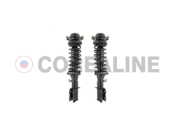 Suspension Strut & Coil Spring Assembly