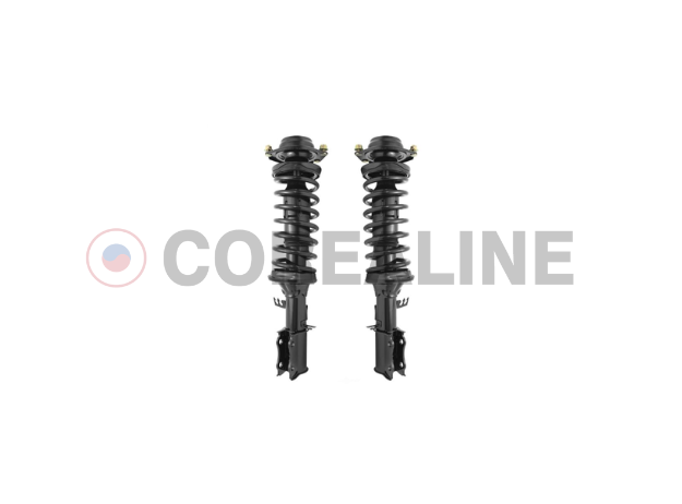 Suspension Strut & Coil Spring Assembly.png