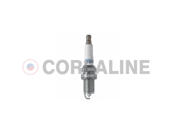 Spark Plug.png